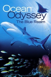 Смотреть Океаническая Одиссея: В подводном царстве онлайн в качестве 720p